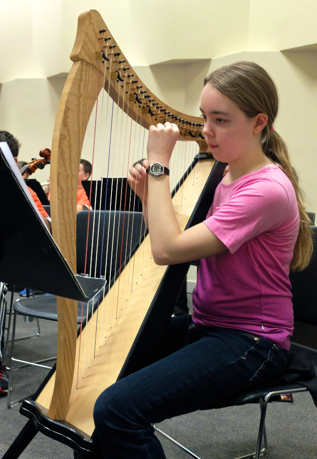 Middle school harp player